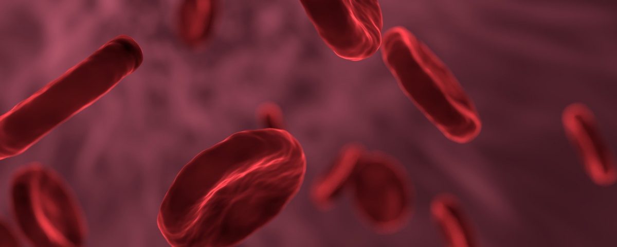 rote Blutkörperchen (Bildrechte: pixabay)
