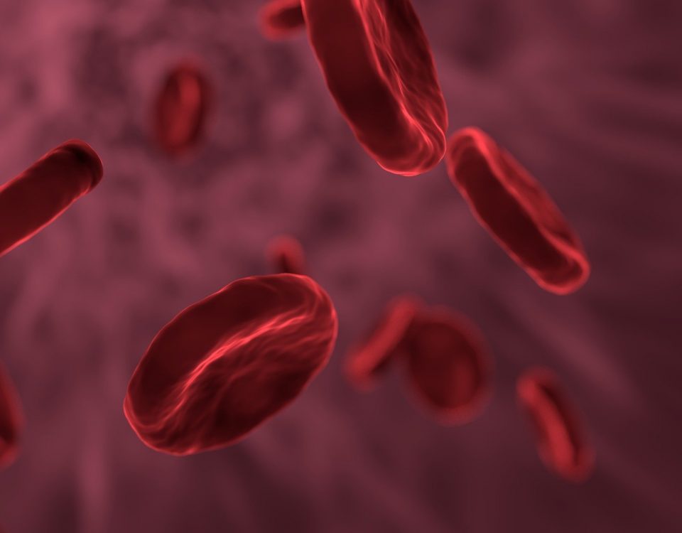 rote Blutkörperchen (Bildrechte: pixabay)